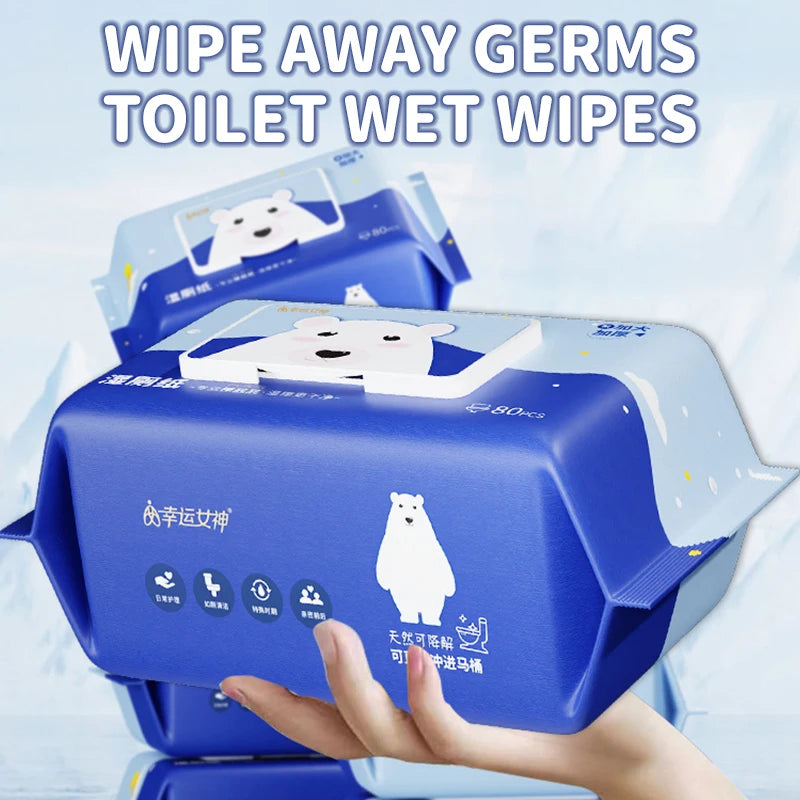 Adult Hygiene Wet Toilet Wipes – Gentle Personal Cleaning Tissues (80 Count)